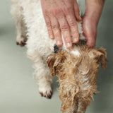 Grooming Bundle