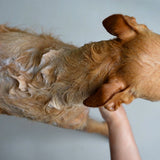 Grooming Bundle