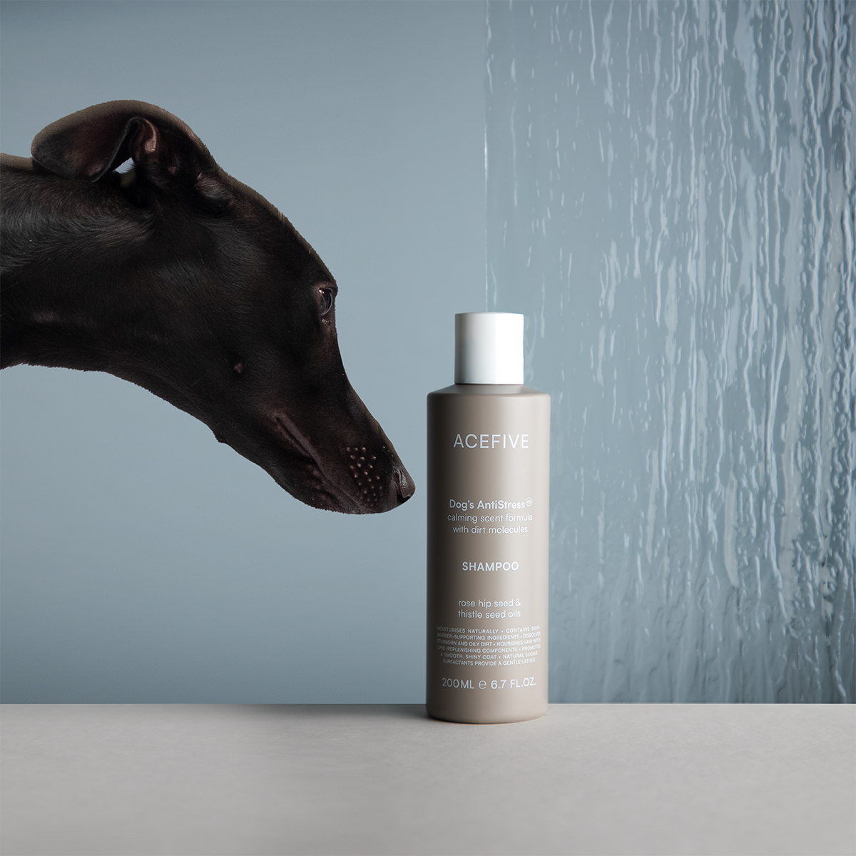 Acefive_shampoo_glass_withdog_