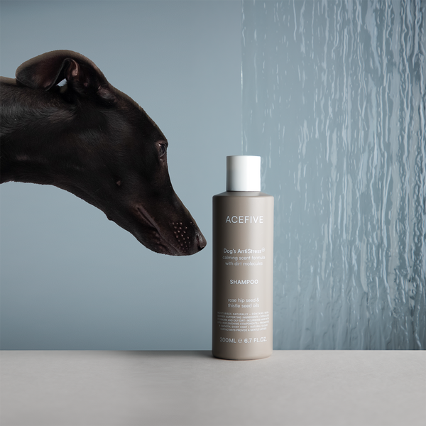 Nährendes Shampoo für Hunde